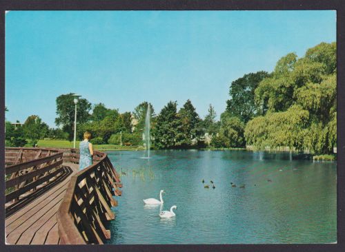 Ansichtskarte Bünde Westfalen Steinmeister Park See Schwäne Brücke