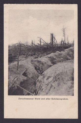 Ansichtskarte Militaria Zerschossener Wald Schützengraben Feldpost n. Häver NRW