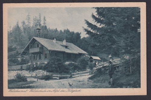 Ansichtskarte Alpl Krieglach Österreich Waldheimat Waldschule Verlag Franz