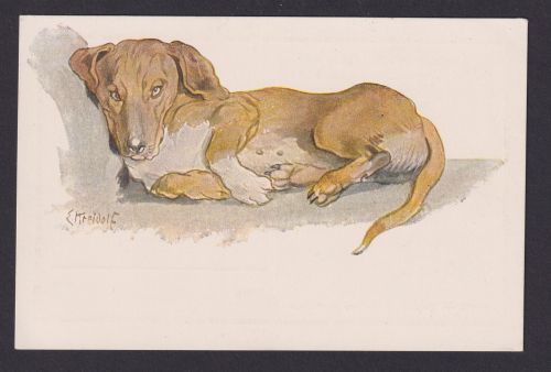 Ansichtskarte Künstlerkarte Sign. Kreidolf Der sinnende Dackel Hunde Tiere