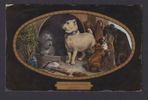 Ansichtskarte Künstlerkarte Hundebild von Sir Landseer Diosenes and Alexander ab
