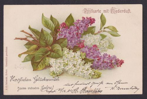 Ansichtskarte Künstlerkarte Sign. Blumenbouquet Flieder Duftkarte Neujahrsgruß