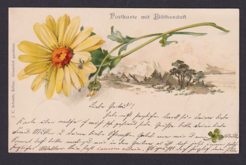 Ansichtskarte Künstlerkarte Blume Landschaft Duftkarte ab Leipzig