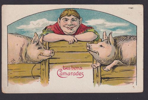 Ansichtskarte Künstlerkarte Scherzkarte Humor Bauer Schweine Gute Kameraden