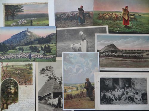 Ansichtskarten Sammlung Schafe Schafherde 49 alte Karten zum Thema