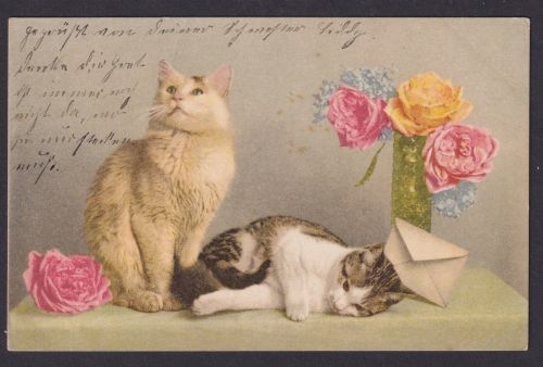 Ansichtskarte Tiere Katzen Schmuckkarte 24.09.1918