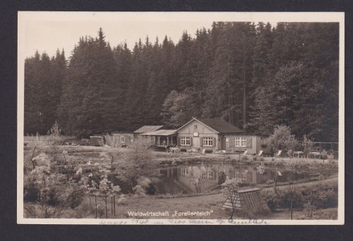 Ansichtskarte Braunlage Harz Sachsen Anhalt Gastronomie Waldwirtschaft