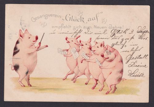 Ansichtskarte Neujahr Schwein Glücksschwein Tiere Ab Leipzig Sachsen n. Borna