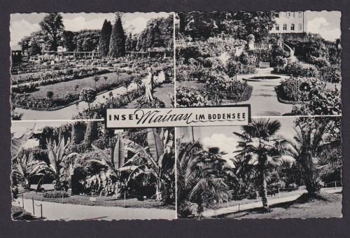 Ansichtskarte Insel Mainau Baden Württemberg Bodensee Park