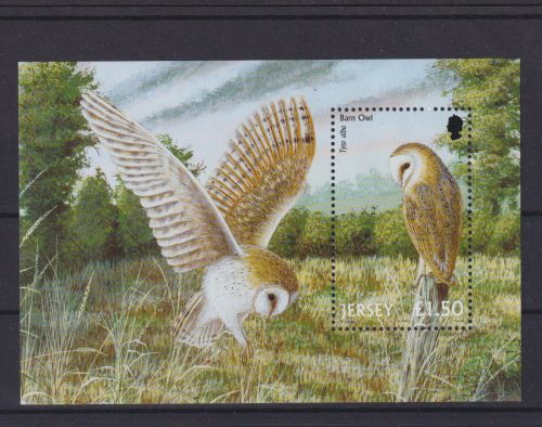 Großbritannien Jersey Block 30 Greifvögel Eulen Schleiereule 110 x 75 mmm Luxus