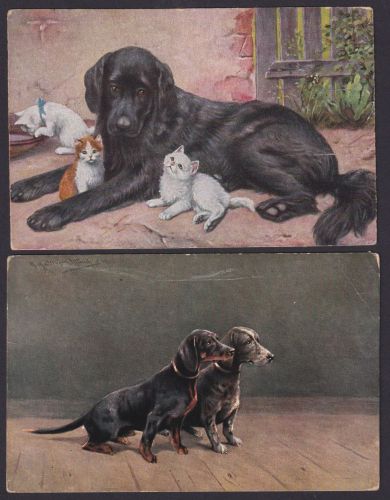 Luxemburg Ansichtskarten Ganzsachen Lot von 20 Stück oft frankiert 1900-1918