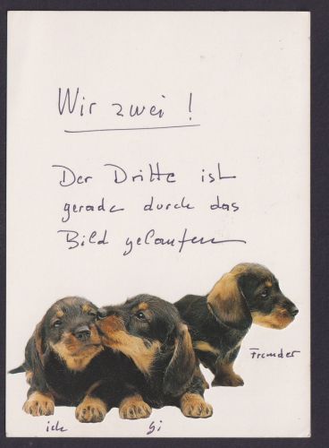 Ansichtskarte Scherzkarte Hunde Haarlem Holland Krefeld Westfalen aufgeklebte