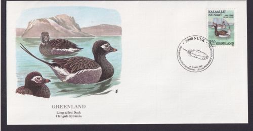 Greenland Grönland Fauna Tiere Spießente schöner Künstler Brief