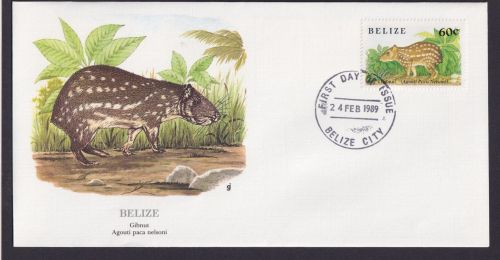 Belize Mittelamerika Fauna Tiere Gibnut schöner Künstler Brief