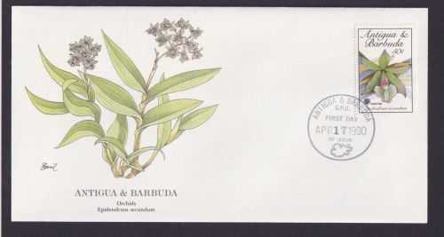 Antigua & Barbuda Kleine Antillen Flora Pflanzen Epidendrum schöner Brief