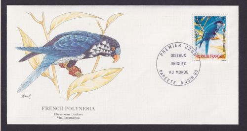 Französisch Polynesien French Polynesia Südpacific Fauna Vogel Gekröte Taucher