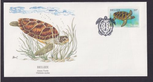 Belize Mittelamerika Fauna Tiere Suppenschildkröte schöner KünstlerBrief