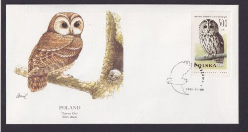 Poland Polen Fauna Tiere Vögel Waldkauz schöner Künstler Brief