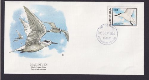 Malediven Südasien Fauna Vögel Seeschwalben schöner Künstler Brief