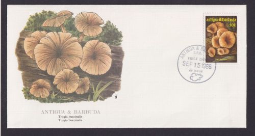 Antigua Barbuda Karibik Kleine Antillen Flora Pilze schöner Künstler Brief