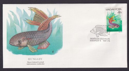 Hungary Ungarn Fauna Fische Aphyosemion Multicolor schöner Künstler Brief