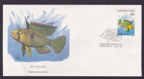 Hungary Ungarn Fauna Fische Papillioschromis schöner Künstler Brief