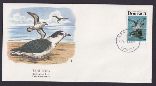 Dominica Karibik Fauna Vögel Teufelssturmvögel schöner Künstler Brief