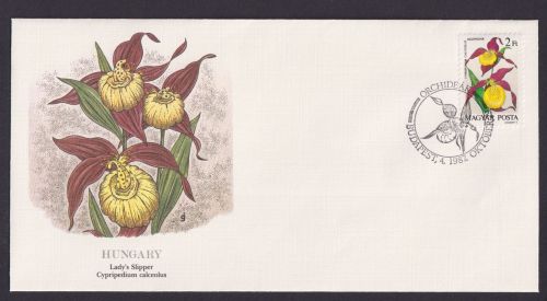 Hungary Ungarn Flora schöner Künstler Brief