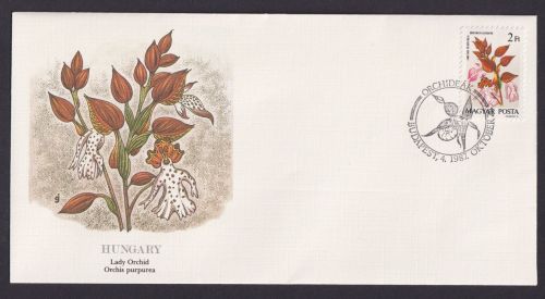 Hungary Ungarn Flora Orchis Purpurea schöner Künstler Brief