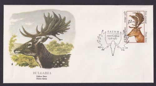 Bulgaria Bulgarien Fauna Damwild schöner Künstler Brief