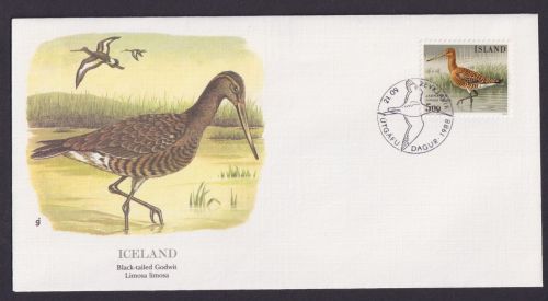 Iceland Island Fauna Vögel Uferschnäpfen schöner Künstler Brief