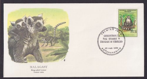 Malagasy Madagaskar Afrika Fauna Ringschwänziger Lemur schöner Künstler Brief