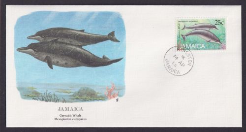 Jamaica Karibik Fauna Schnabelwale schöner Künstler Brief
