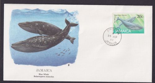 Jamaica Karibik Fauna Blauwal schöner Künstler Brief