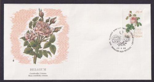 Belgium Belgien Flora Rosen schöner Künstler Brief