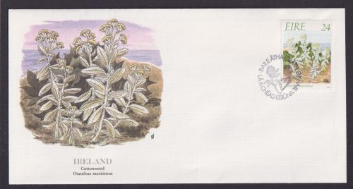 Ireland Irland Flora Wollgras schöner Künstler Brief