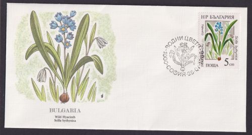 Bulgarie Bulgarien Europa Flora Lilien schöner Künstler Brief