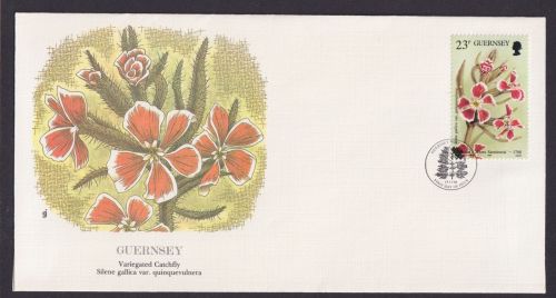 Guersney Kanalinsel Europa Flora Silene Fliegenfänger schöner Künstler Brief