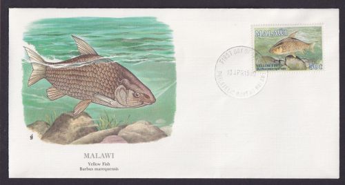 Malawi Malawi Südafrika Fauna Gelbfisch schöner Künstler Brief