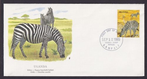 Uganda Ostafrika Fauna Burchell Zebra schöner Künstler Brief