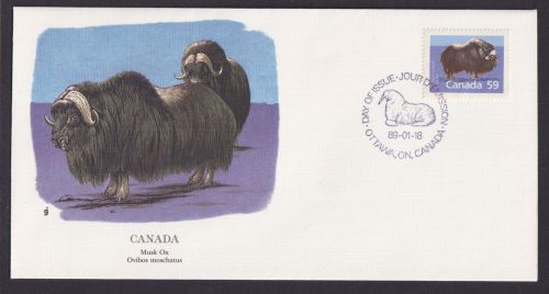 Canada Kanada Nordamerika Fauna Mochusochse schöner Künstler Brief