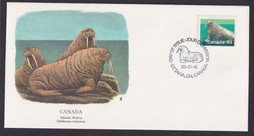 Canada Kanada Nordamerika Fauna Atlantikwalross schöner Künstler Brief