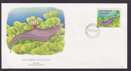 Salomon Inseln Südpazific Fauna Landschnecke Schöner Künstler Brief