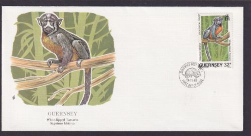 Guernsey Kanalinsel Großbritannien Fauna Affe Tamarin Schöner Künstler Brief