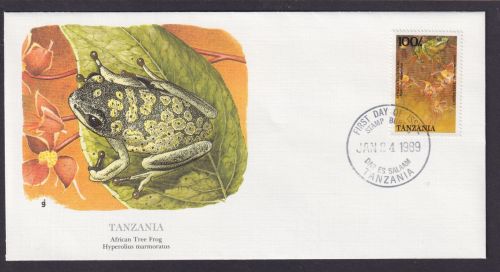 Tansania Ostafrika Fauna Frosch Schöner Künstler Brief