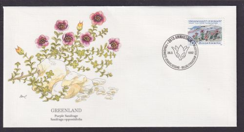 Grönland Dänemark Insel Nordpolarmeer Flora Pflanze lila Steinbrech schöner