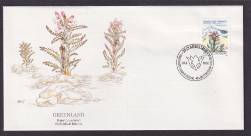 Grönland Dänemark Insel Nordpolarmeer Flora Pflanze Läusekraut schöner Brief