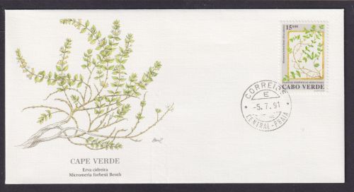 Cap Verde Afrika Flora Pflanzen Micromeria schöner Künstler Brief