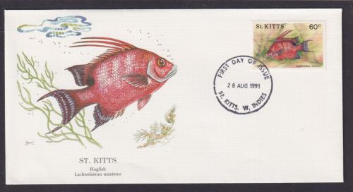 St. Kitts Karibik Insel Fauna Fische Lippfisch schöner Künstler Brief