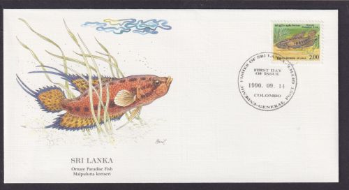 Sri Lanka Indischer Ozean Fauna Paradisfisch schöner Künstler Brief